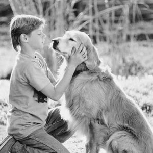 Bilder Zurück nach Hause