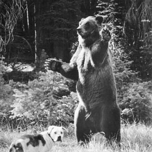 Bilder Zurück nach Hause