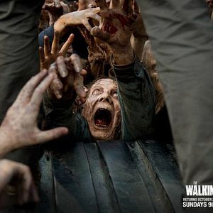 Bilder The Walking Dead