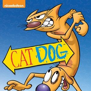 Bilder CatDog