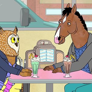 Bilder BoJack Horseman