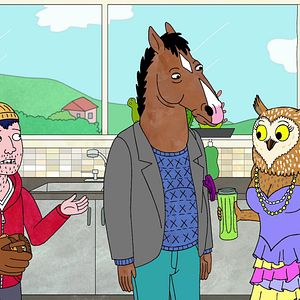Bilder BoJack Horseman
