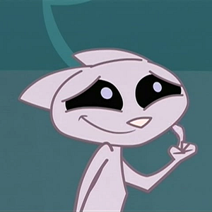 Bilder Coop gegen Kat