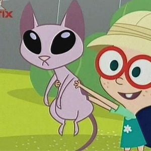 Bilder Coop gegen Kat