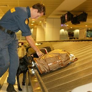 Bilder Achtung Zoll!