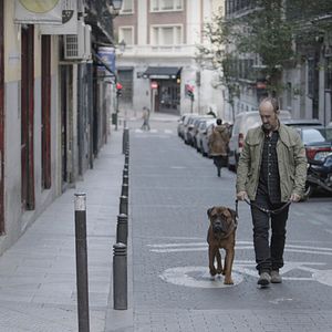 Bilder Javier Cámara