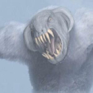 Bilder Rage Of The Yeti