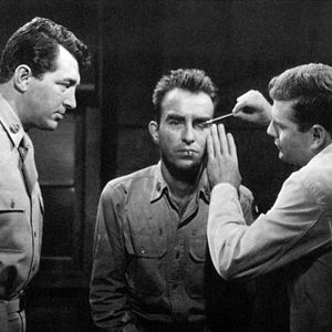 Bilder Die jungen Löwen