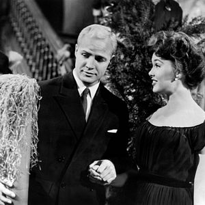 Bilder Die jungen Löwen