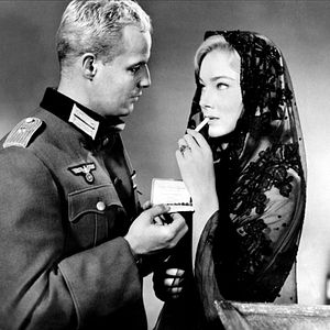 Bilder Die jungen Löwen