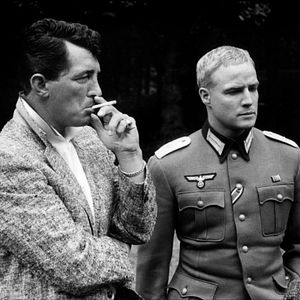 Bilder Die jungen Löwen