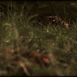 Bilder Condado Macabro