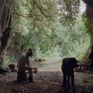 Bilder Bella e perduta - Eine Reise durch Italien