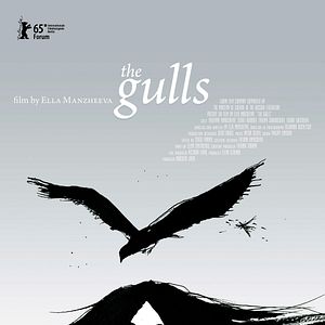 Bilder The Gulls