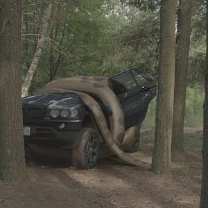 Bilder Lake Placid Vs. Anaconda