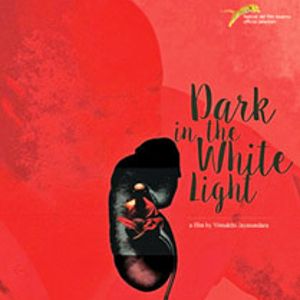 Bilder Dark in the White Light