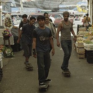 Bilder I Promise You Anarchy