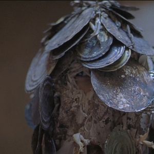 Bilder The Sky trembles and the earth is afraid and the two eyes are not brothers