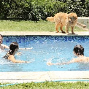 Bilder Der Sommer mit Mamã