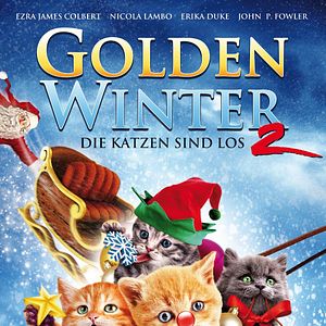 Bilder Golden Winter 2 - Die Katzen sind los