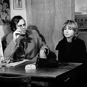 Bilder Der Salamander