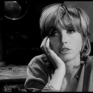 Bilder Der Salamander