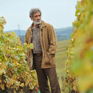 Bilder Gérard Lanvin