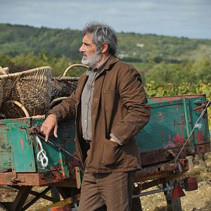 Bilder Gérard Lanvin