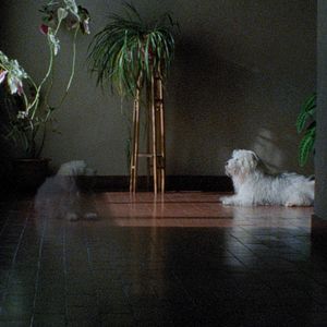 Bilder 1001 Nacht: Teil 2 - Der Verzweifelte