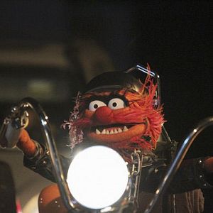 Bilder The Muppets