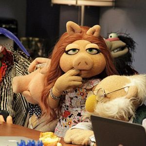 Bilder The Muppets