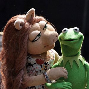 Bilder The Muppets