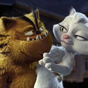 Bilder Kötü Kedi Serafettin - Bad Cat