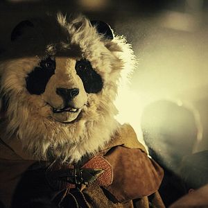 Bilder Wastelander Panda: Exile