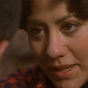 Bilder The Green Pastures