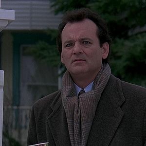 Bilder Und täglich grüßt das Murmeltier