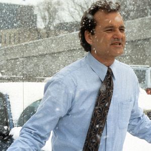 Bilder Und täglich grüßt das Murmeltier