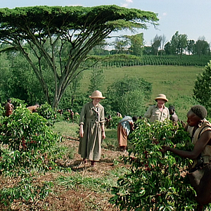 Bilder Jenseits von Afrika