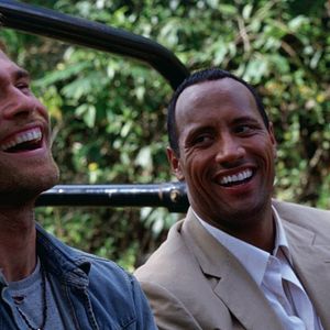 Bilder Welcome To The Jungle