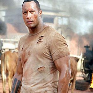 Bilder Welcome To The Jungle