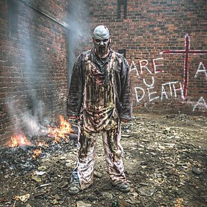 Bilder Das Buch der Apokalypse