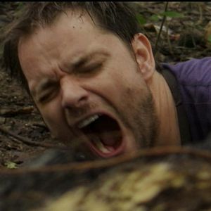 Bilder Das Biest lebt!