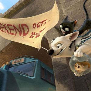 Bilder Bolt - Ein Hund für alle Fälle