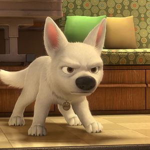 Bilder Bolt - Ein Hund für alle Fälle