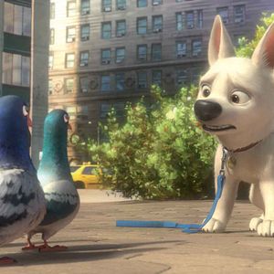 Bilder Bolt - Ein Hund für alle Fälle