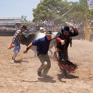 Bilder Crocodile Daddy - Ein total verrückter Roadtrip