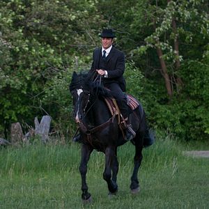 Bilder Murdoch Mysteries - Auf den Spuren mysteriöser Mordfälle