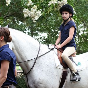 Bilder Mein Pferd und ich