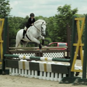 Bilder Mein Pferd und ich