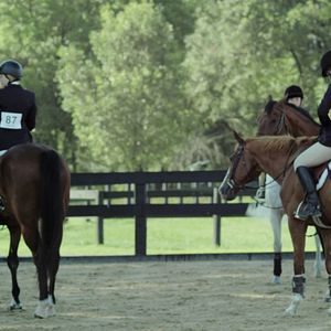 Bilder Mein Pferd und ich